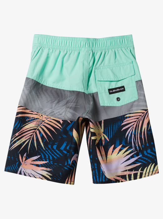 Quiksilver Boys Everyday Panel Boy 14 Boardshorts-Beach Glass