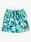 Quiksilver Boys Next Gen Volley Boy 12 Boardshorts-Blithe