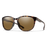 Smith Lake Shasta Sunglasses-Tort/Chromapop Brown Polar