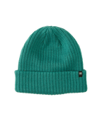 Billabong Arcade Beanie-Pacific